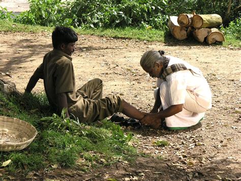  “Healing Landscapes: Stories from Brazil” - A Journey into Ethnomedicine and Human Connection